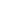 公式X